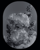 LAB4  CURATED - Accueil
