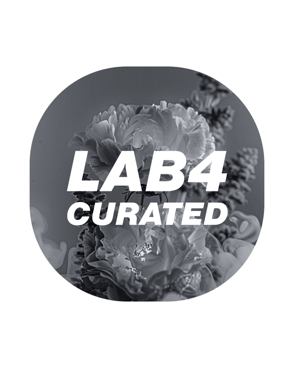 LAB4  CURATED